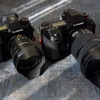 暗所でもフルサイズいらなくね？LUMIX S1RとG9 PROで撮り比べてどっちがどっち？
