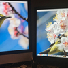 Switch用に格安モニターを買ったらとても良かった（Macのサブモニターとしても）