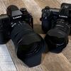 そのフルサイズ必要？LUMIX S1RとG9 PROで撮り比べてどっちがどっち？