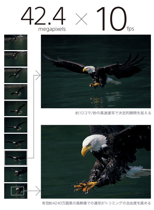 f:id:toshiboo777:20171109220511p:plain