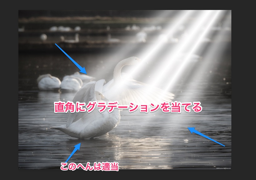 f:id:toshiboo777:20180119171834j:plain