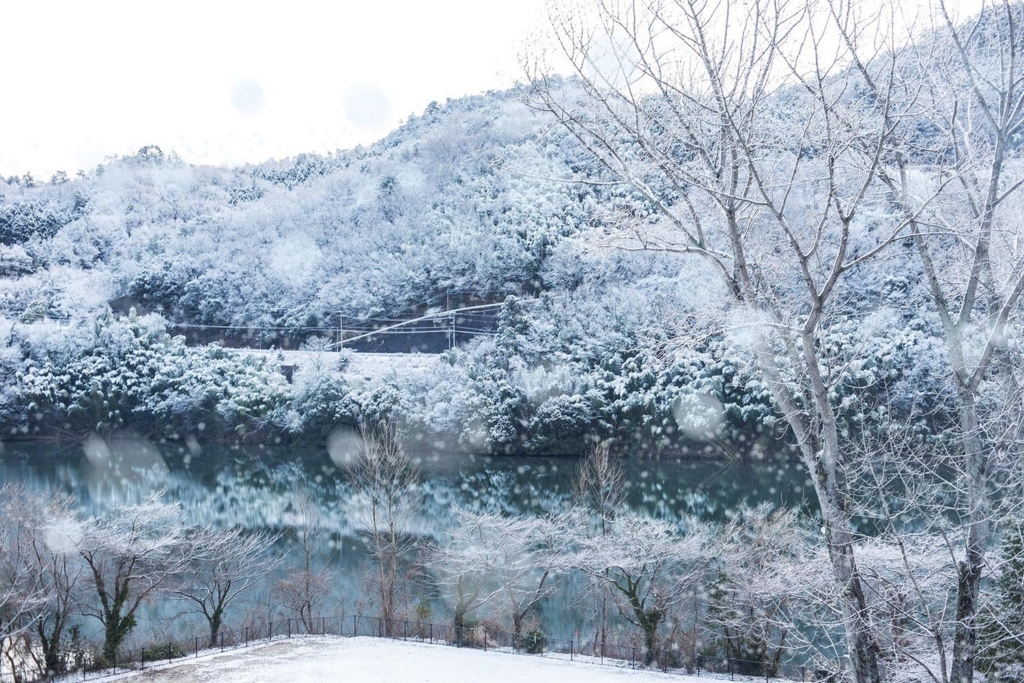 f:id:toshiboo777:20180122155430j:plain