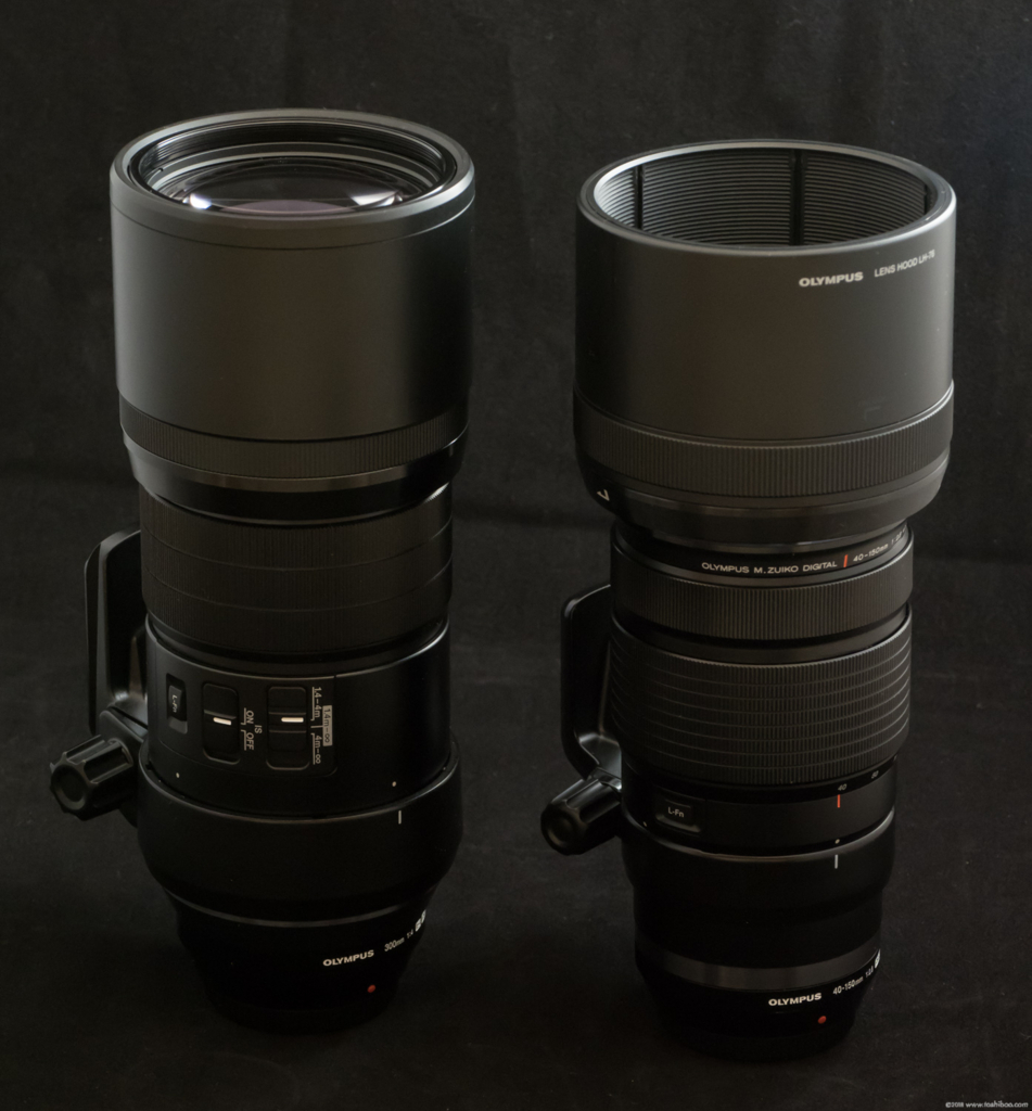 ついに憧れの840mm超望遠の世界を手に入れた！ - toshiboo's camera