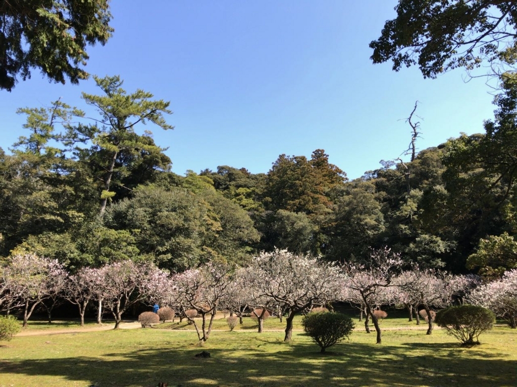 f:id:toshiboo777:20180317152414j:plain