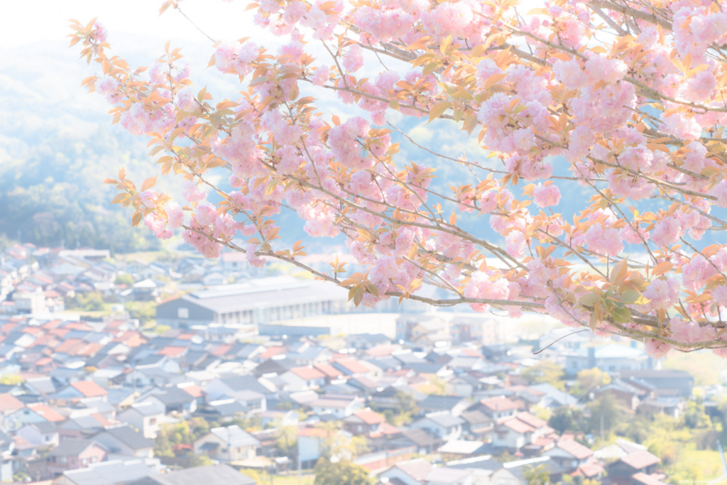 f:id:toshiboo777:20180331235821j:plain