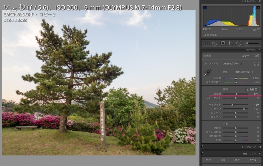 f:id:toshiboo777:20180430122059j:plain