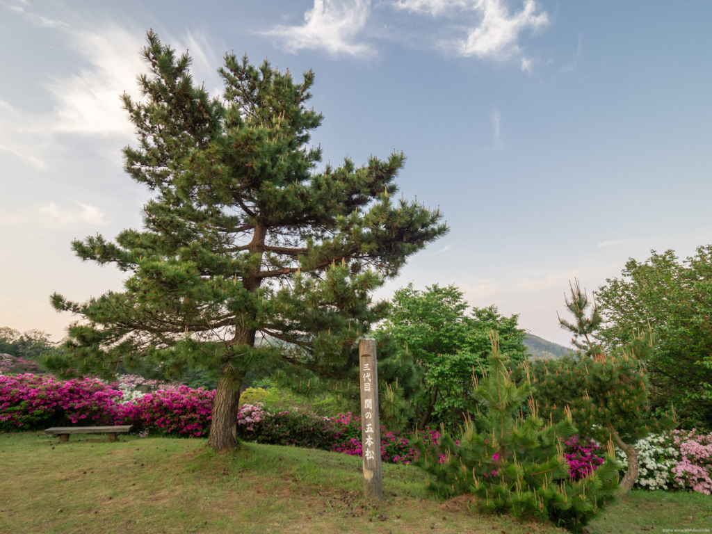 f:id:toshiboo777:20180430131029j:plain