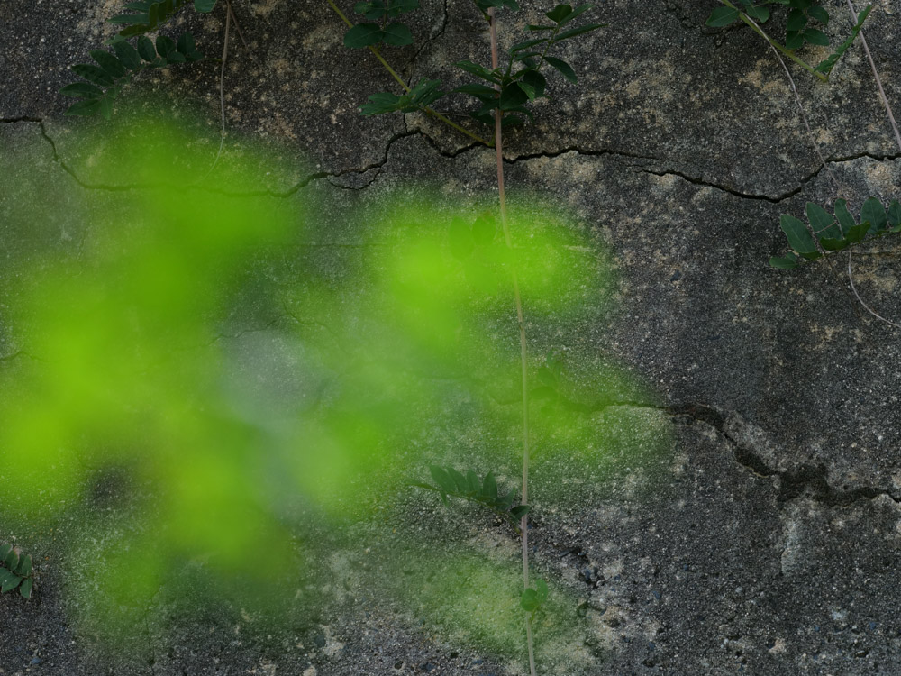 f:id:toshiboo777:20180923155414j:plain f:id:toshiboo777:20180923155414j:plain