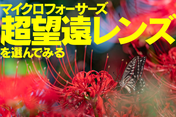 マイクロフォーサーズ 超望遠レンズを選んでみる【2022年2月