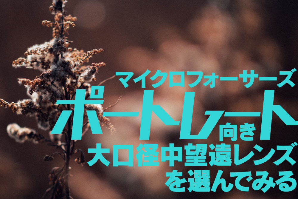 キャッチ画像