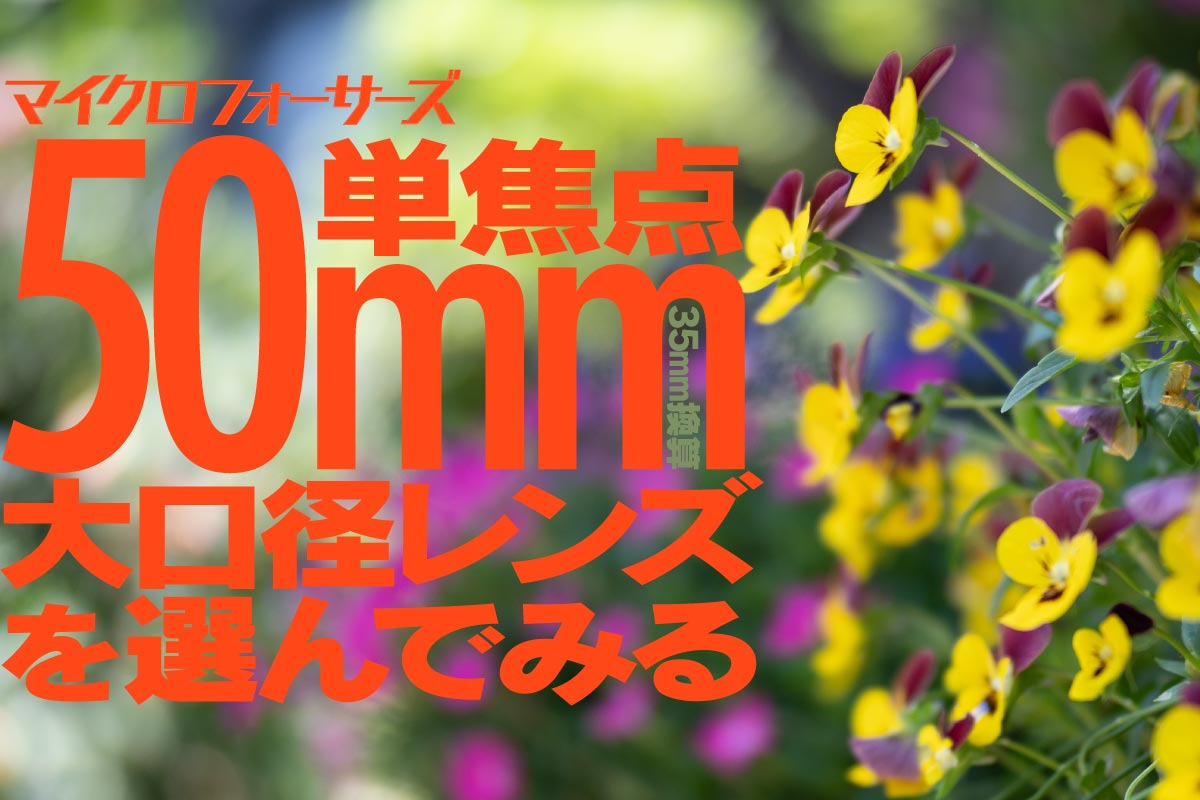 キャッチ画像