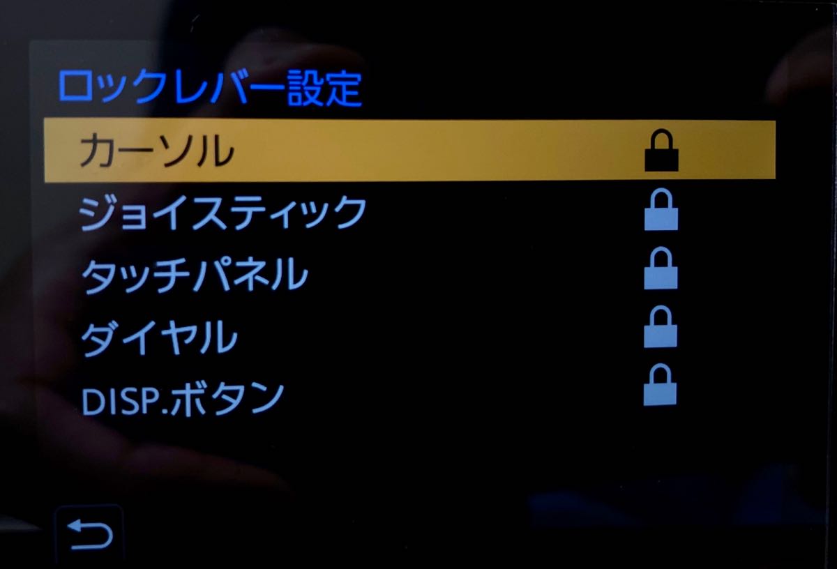 ロックできる項目