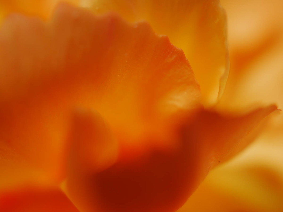 F3.5