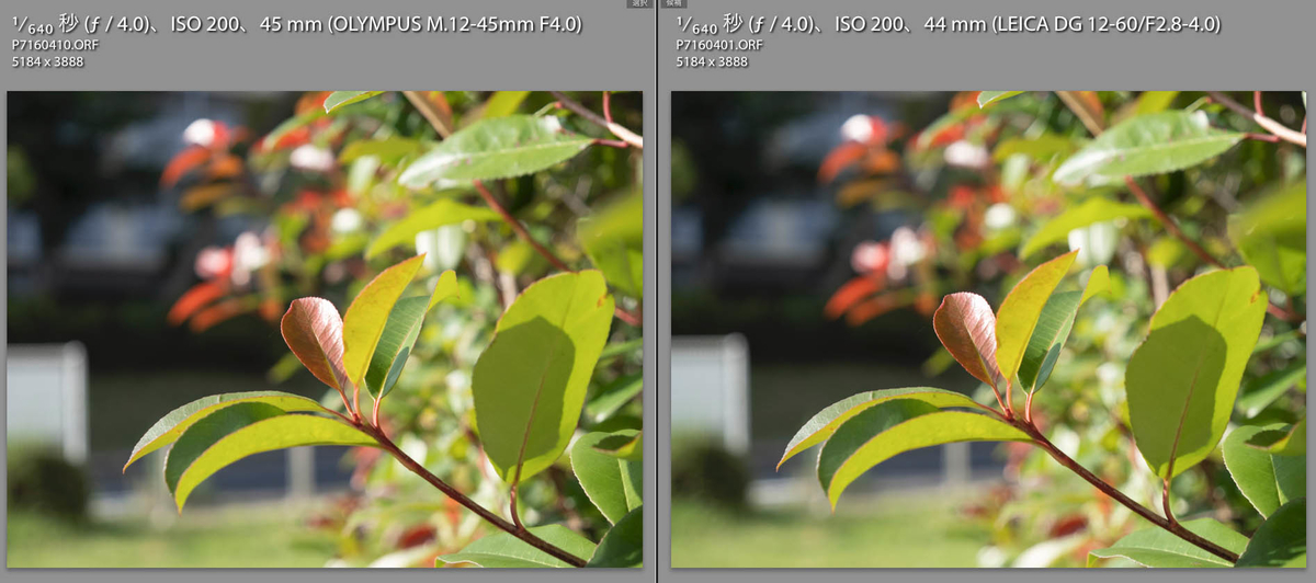 12-60mm/F2.8-4.0とボケ比較