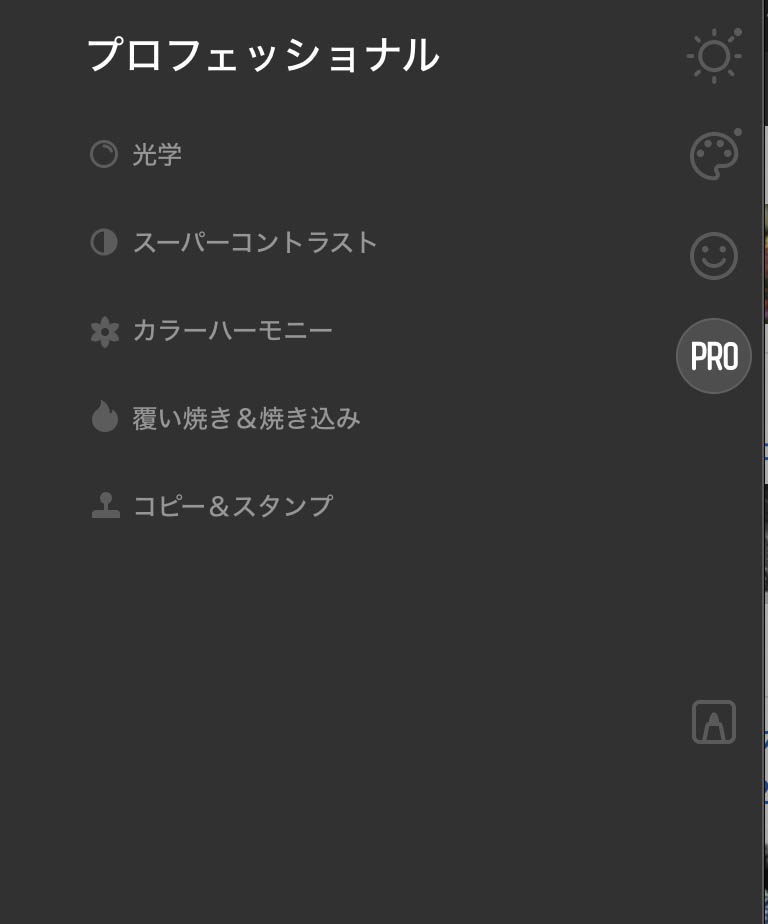 プロフェッショナル