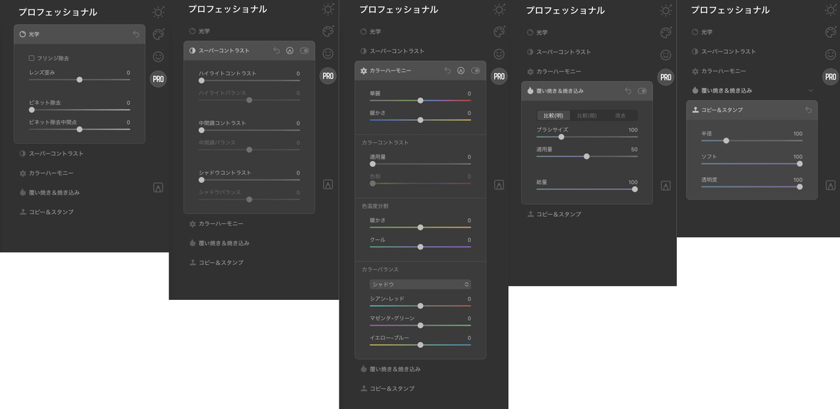 プロフェッショナル1