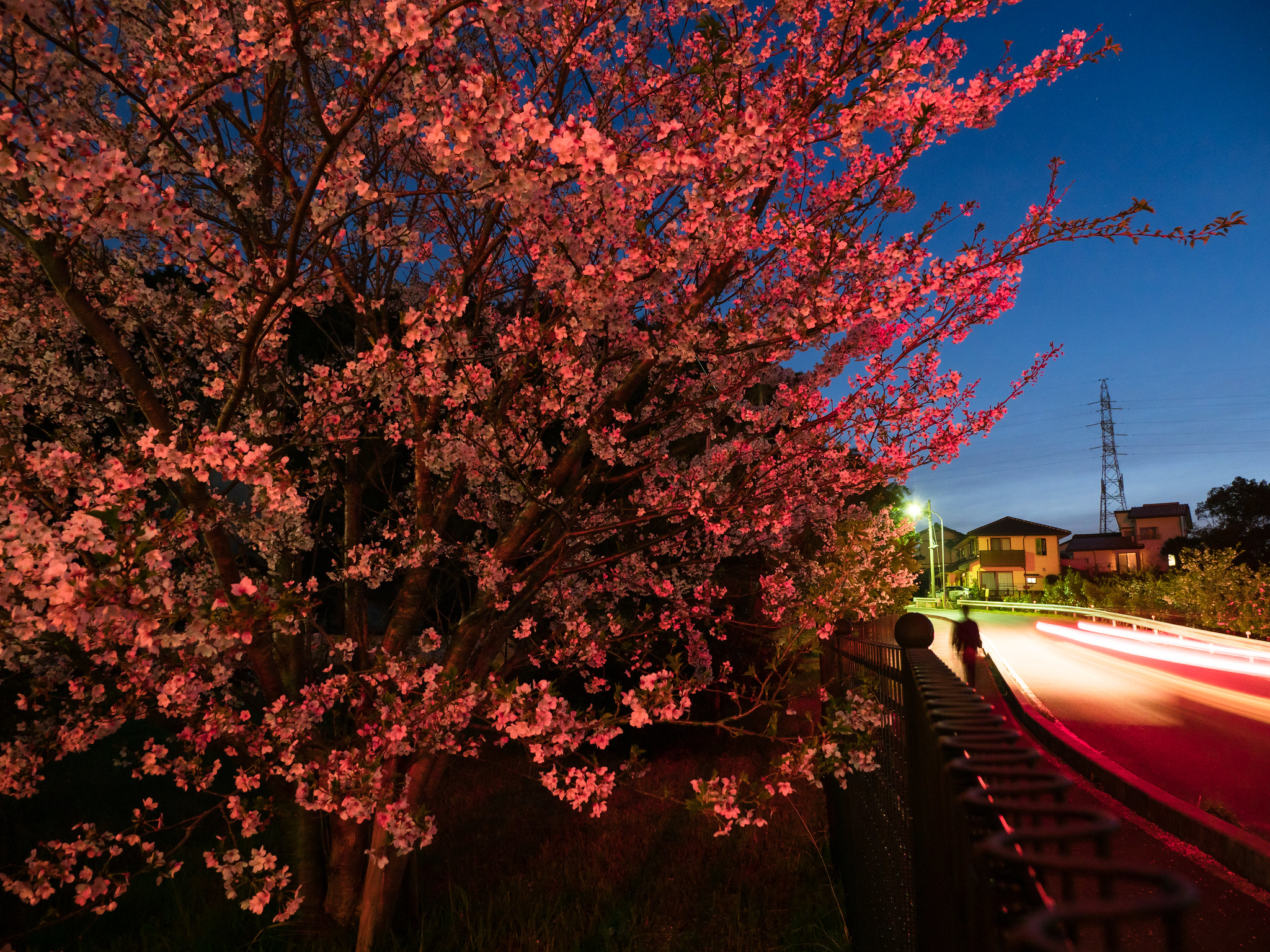 手持ち3秒で桜