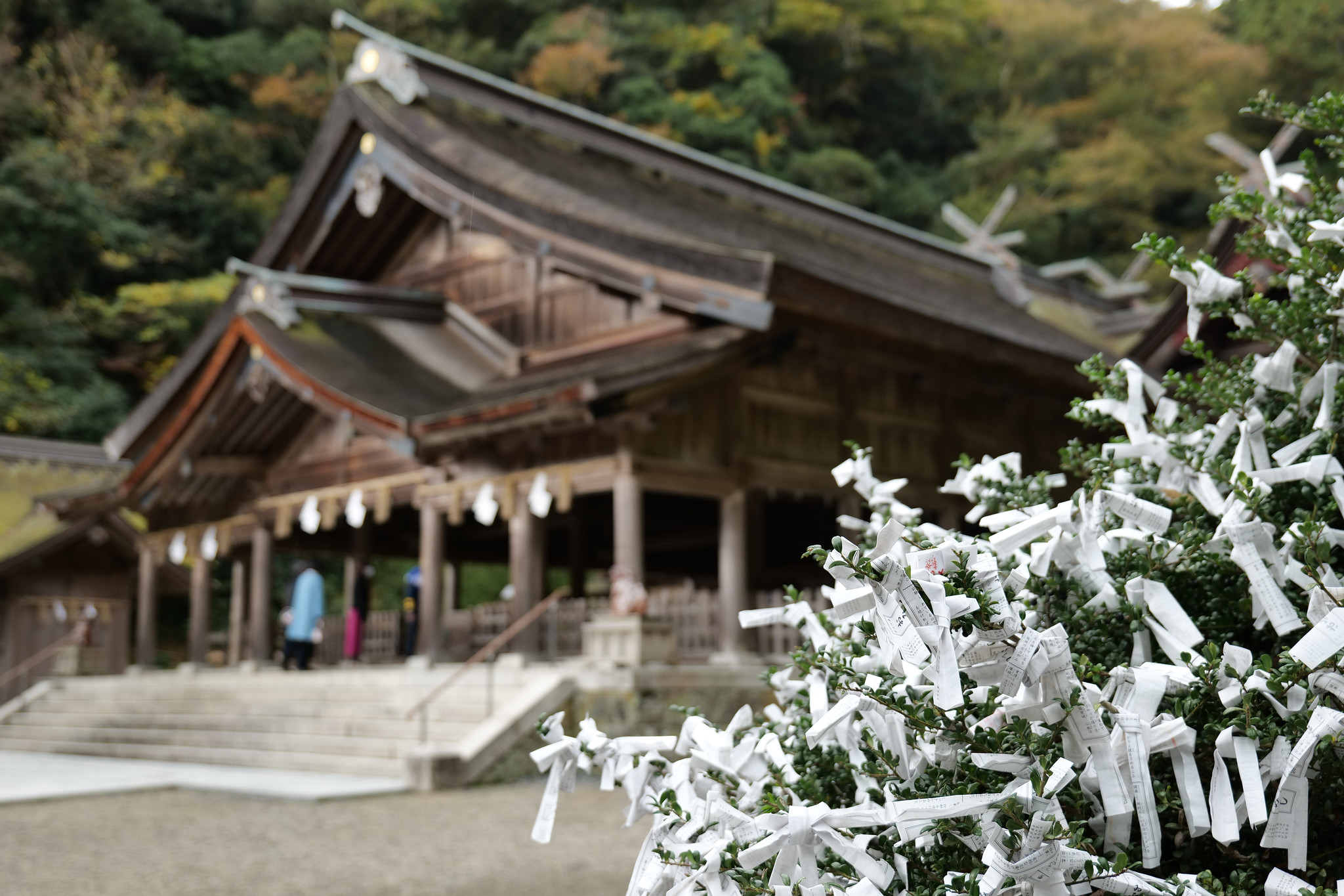 美保神社
