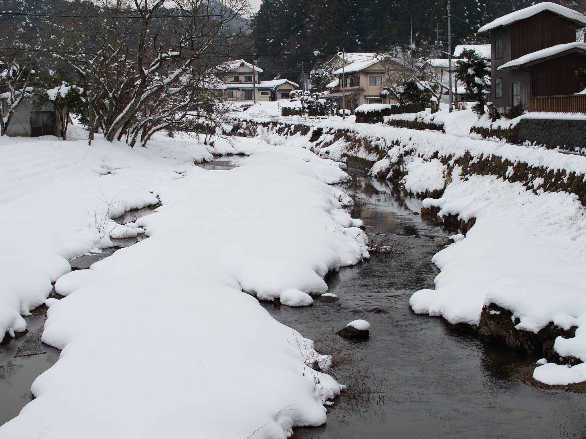 雪
