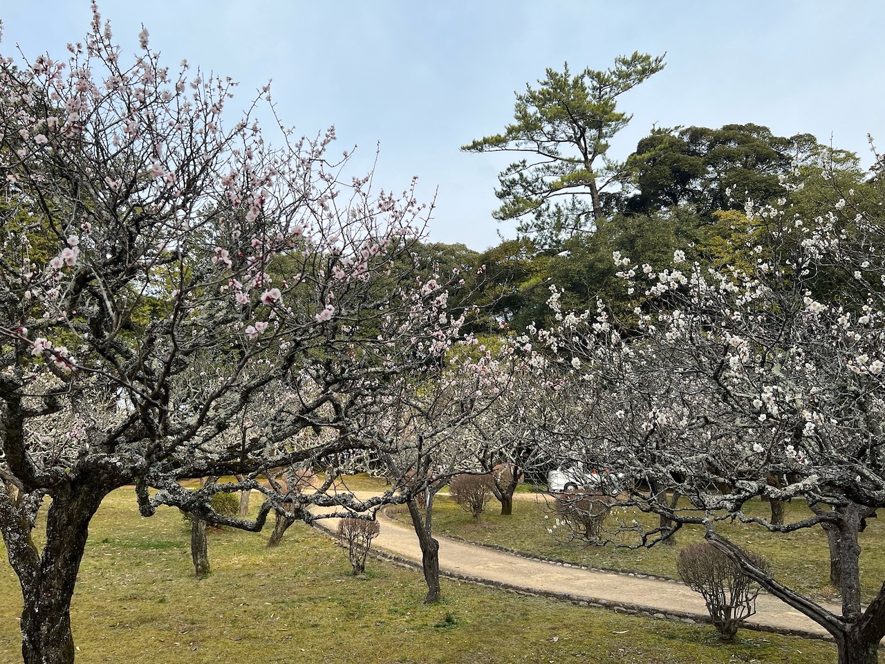 松江城山