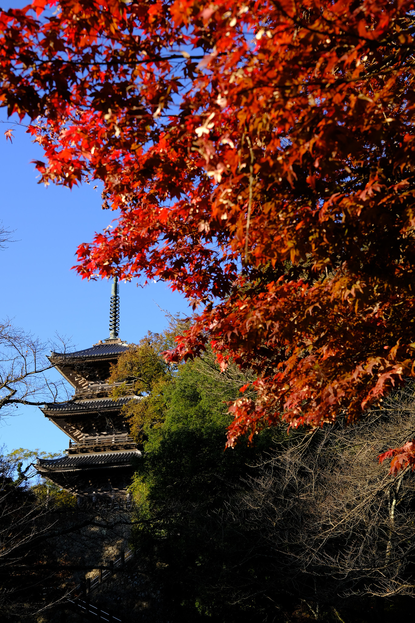 紅葉と三重塔