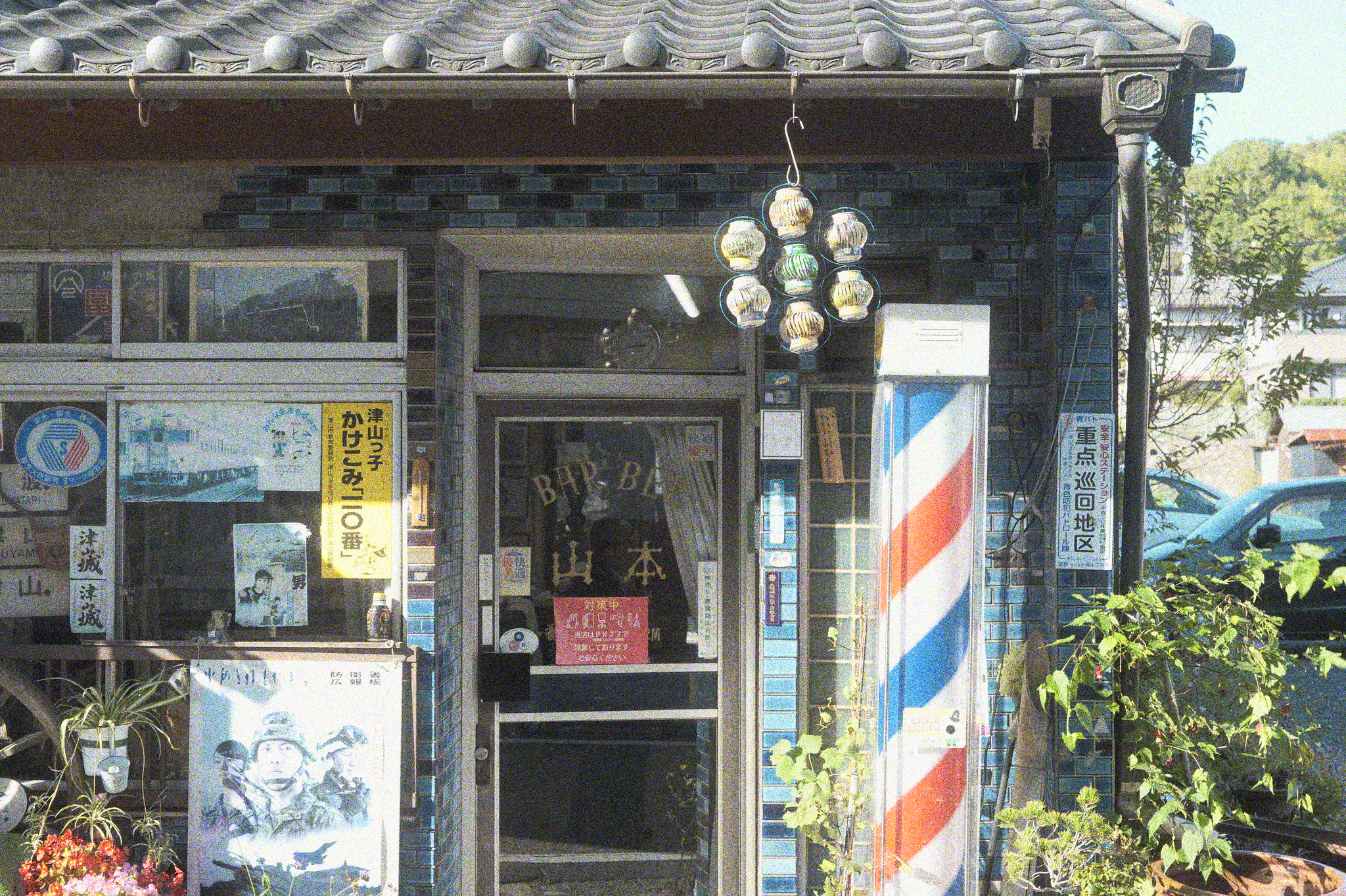 L.クラシックネオ　粒状 強　色ノイズON