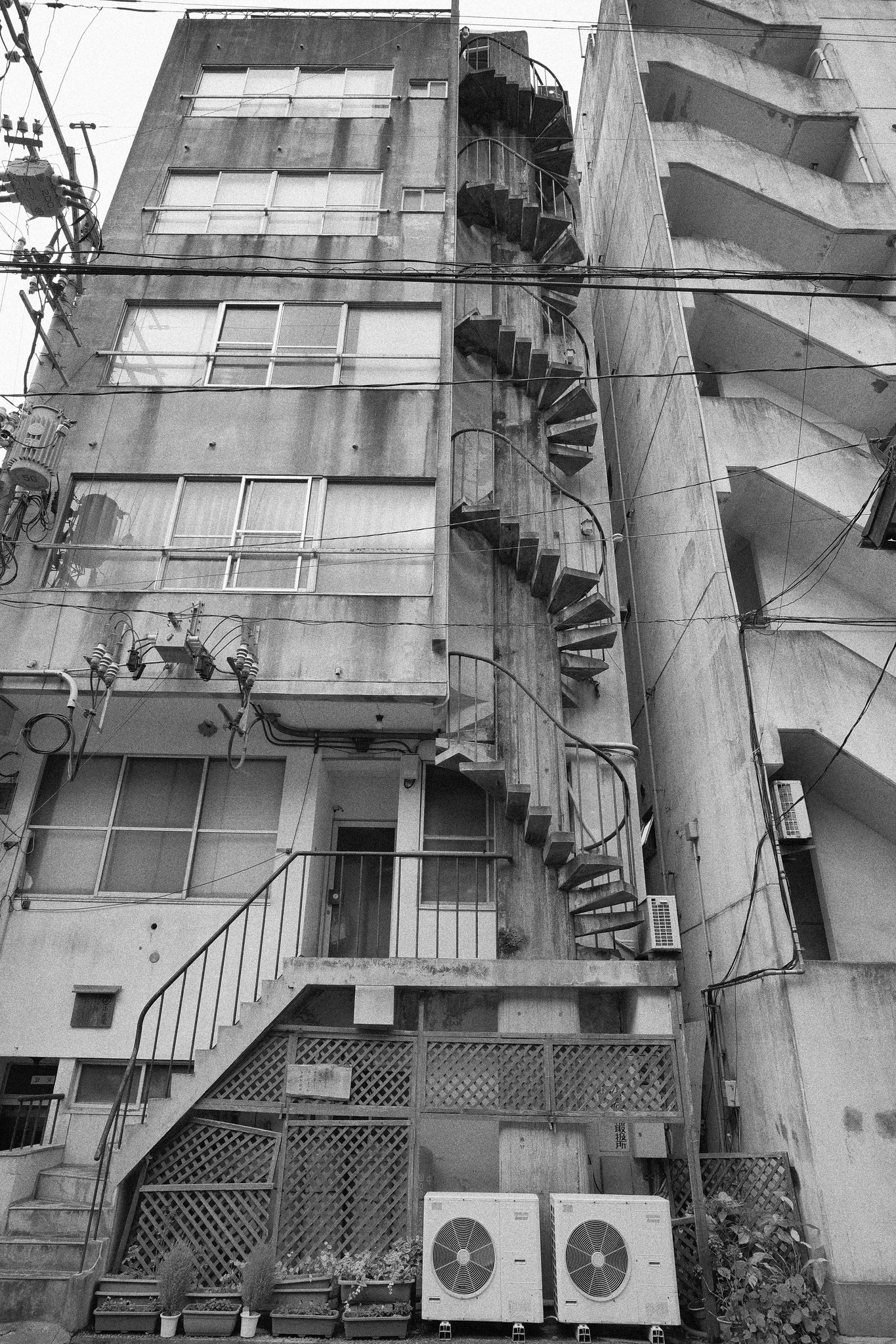 L.モノクロームS　粒状 中
