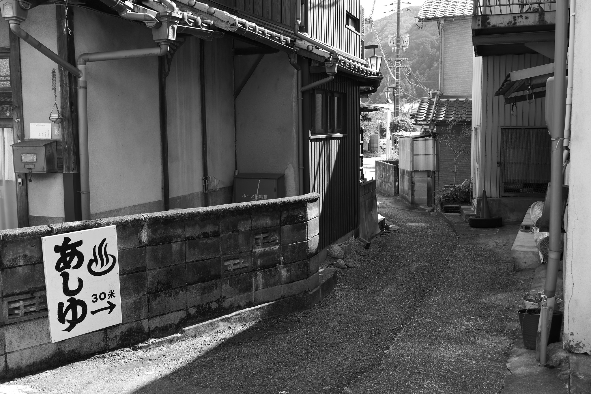 L.モノクローム