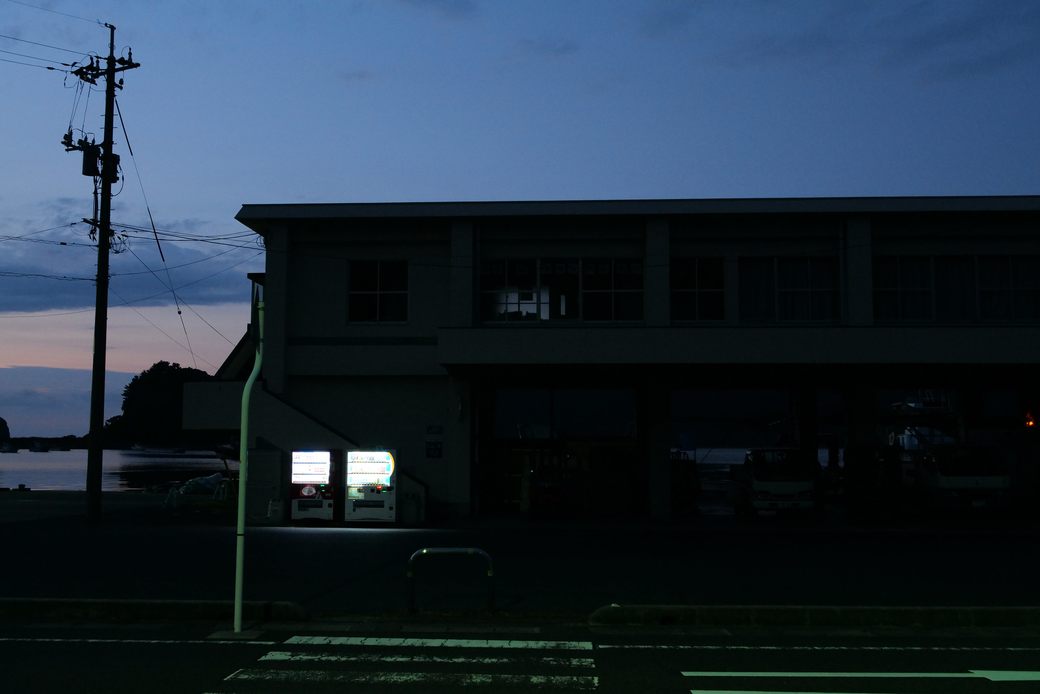 S1R