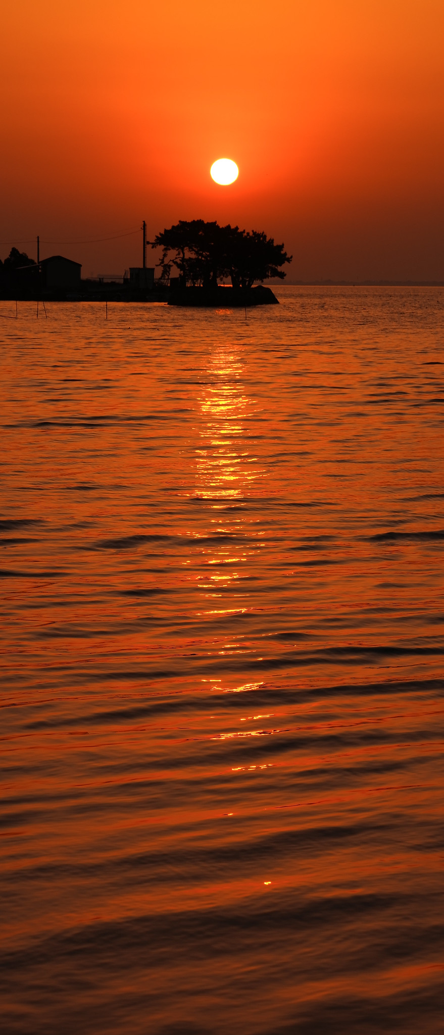 夕日