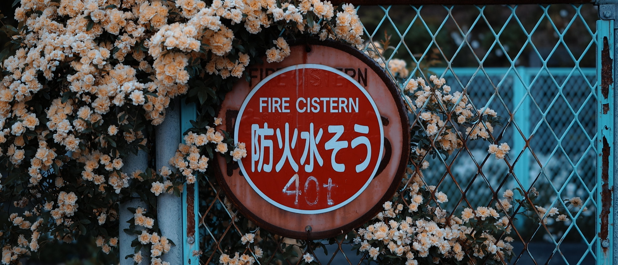 スナップ