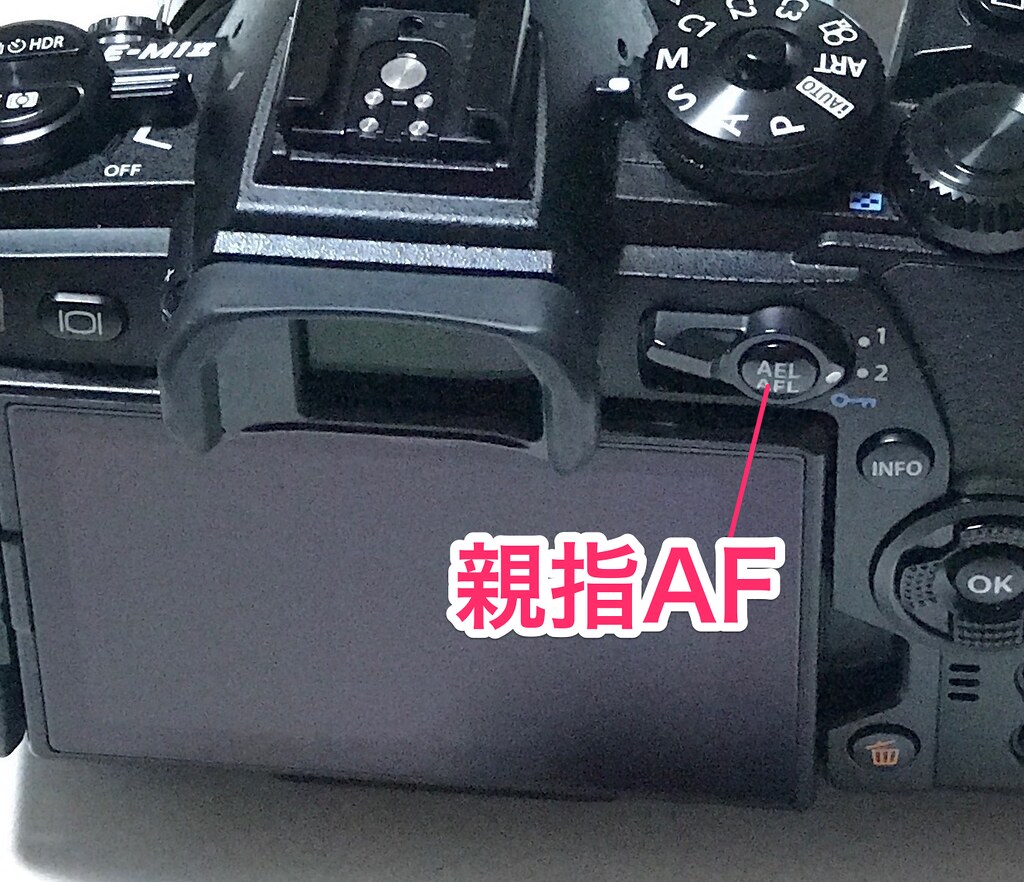 親指AF