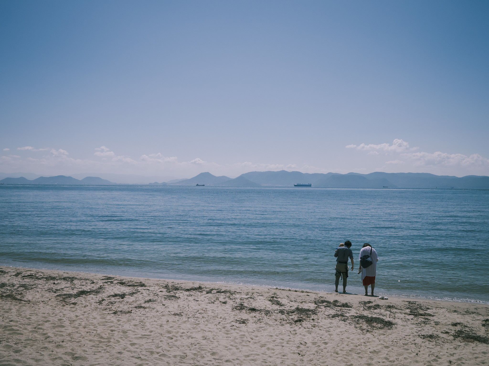 海