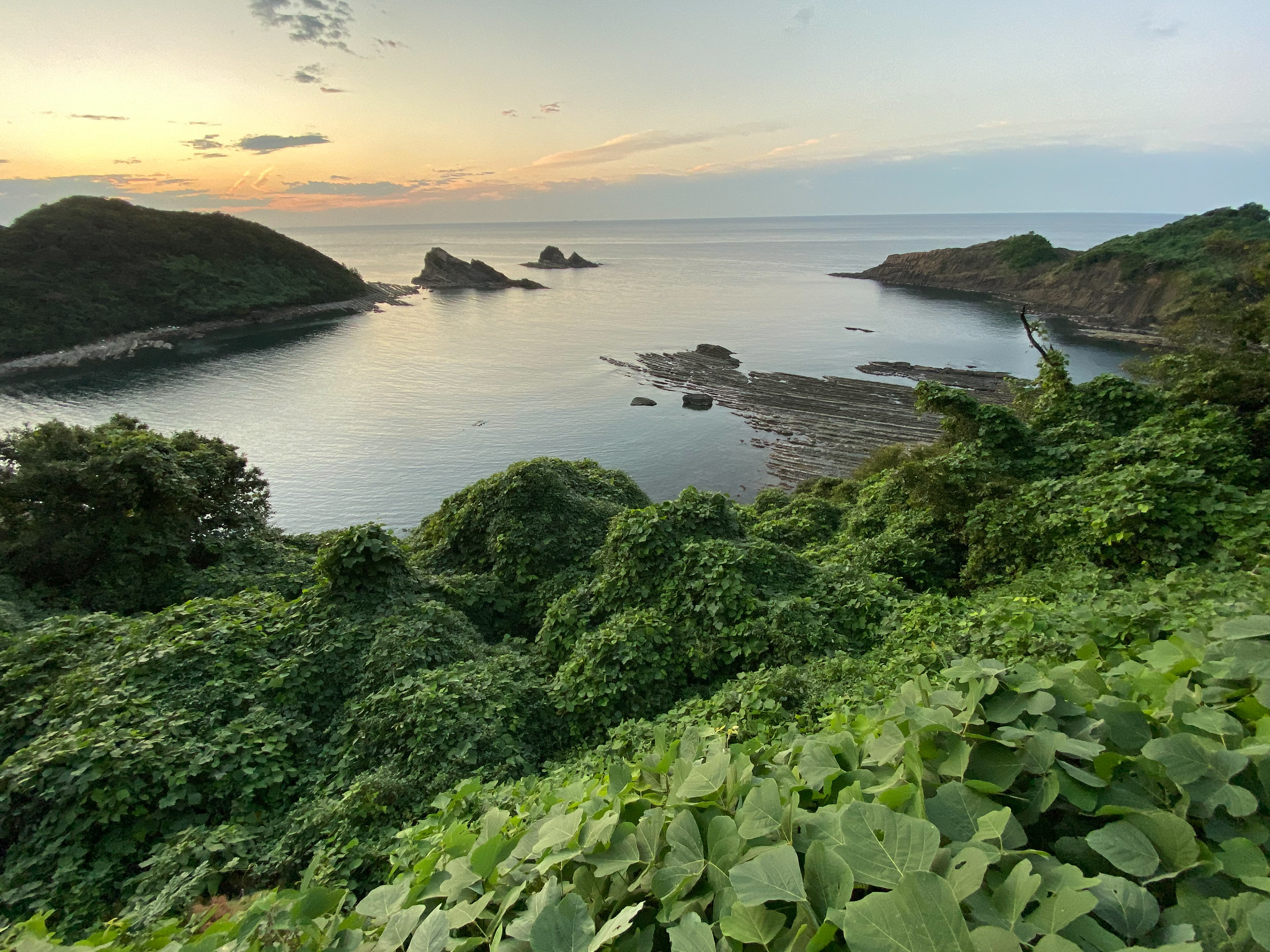海