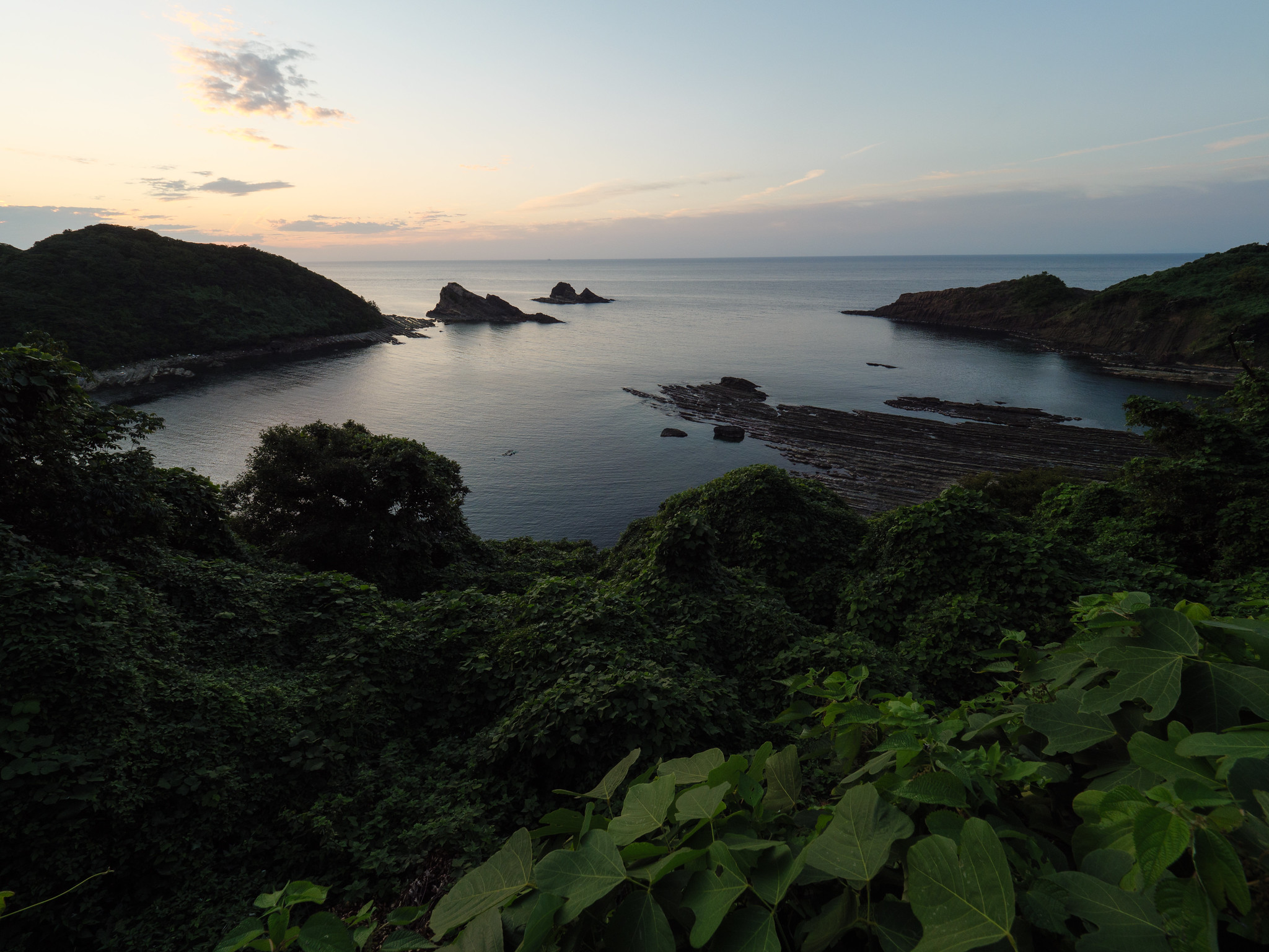 海