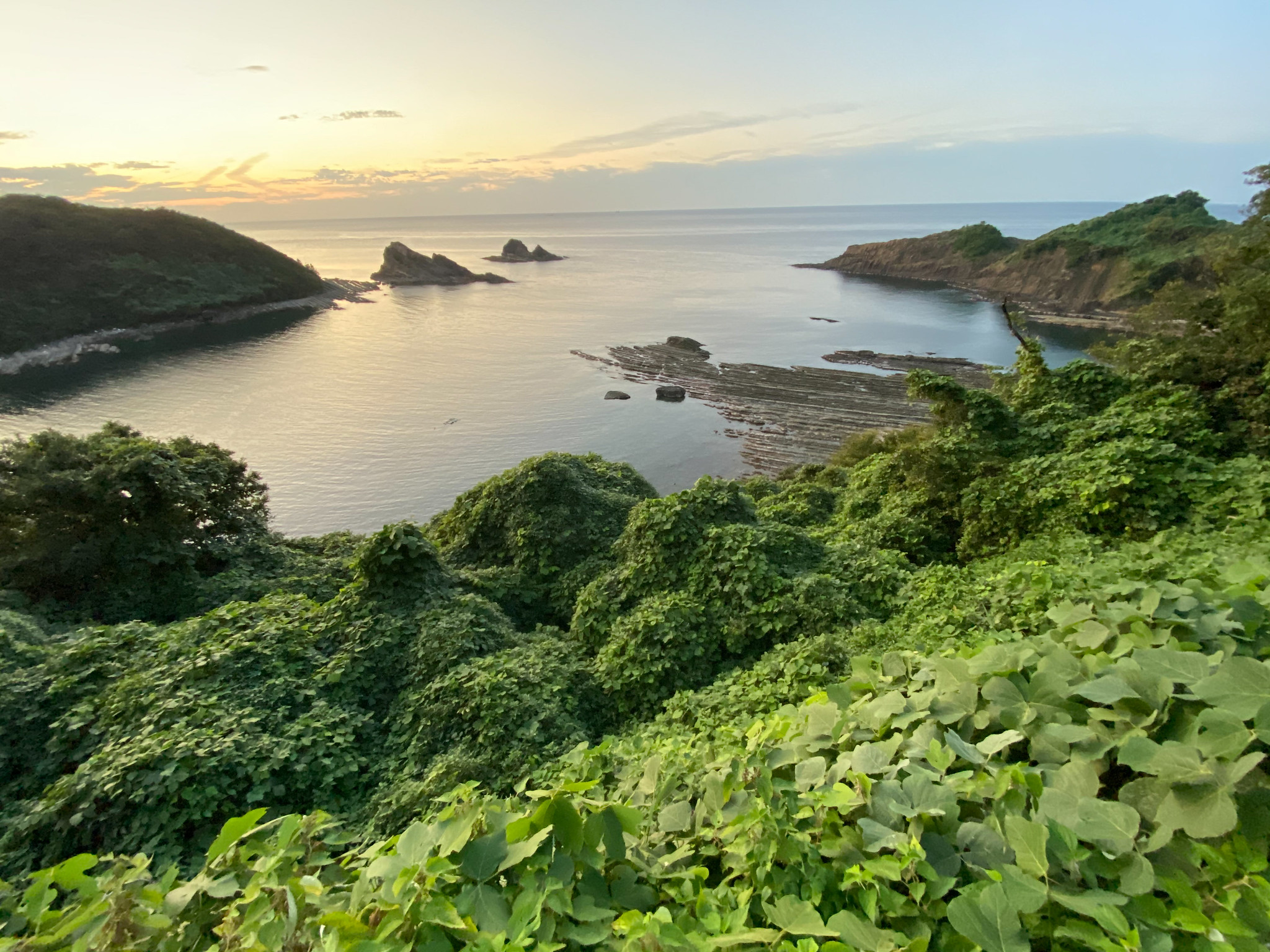 海