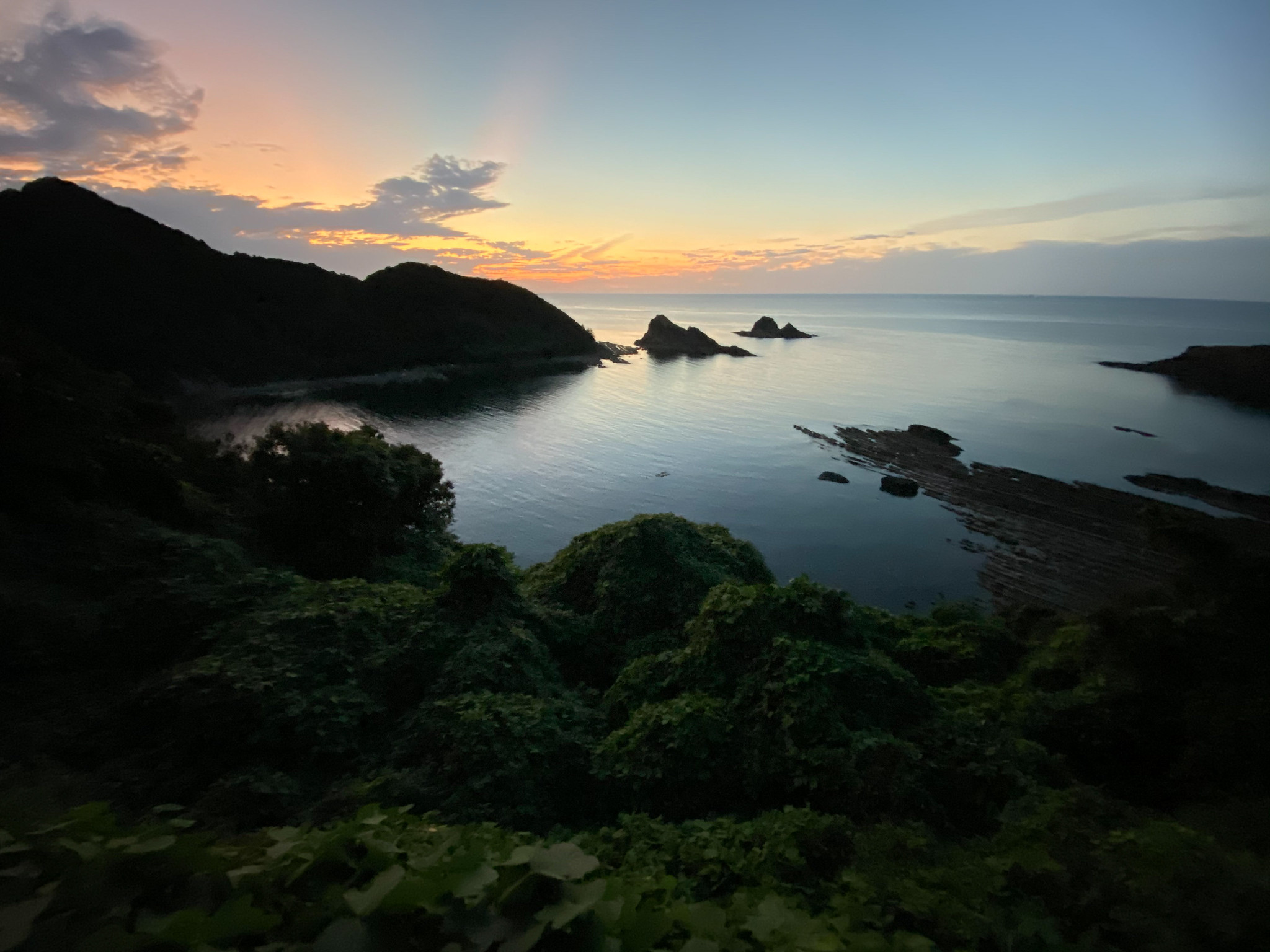 海