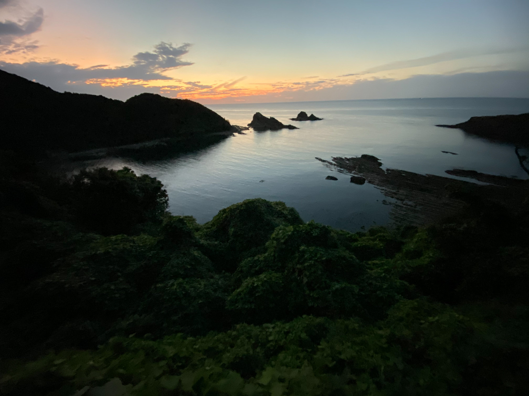 海
