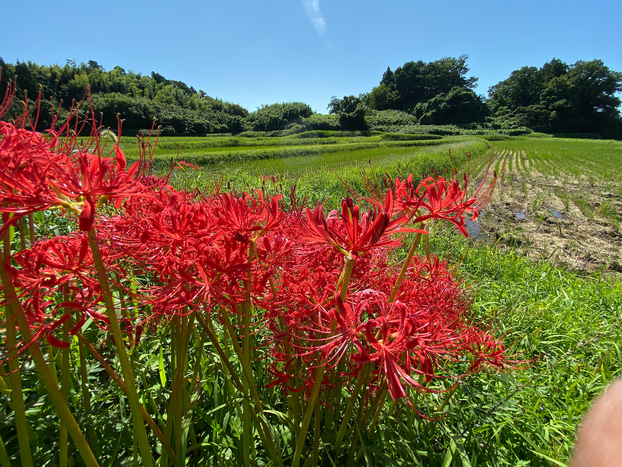 指が写る