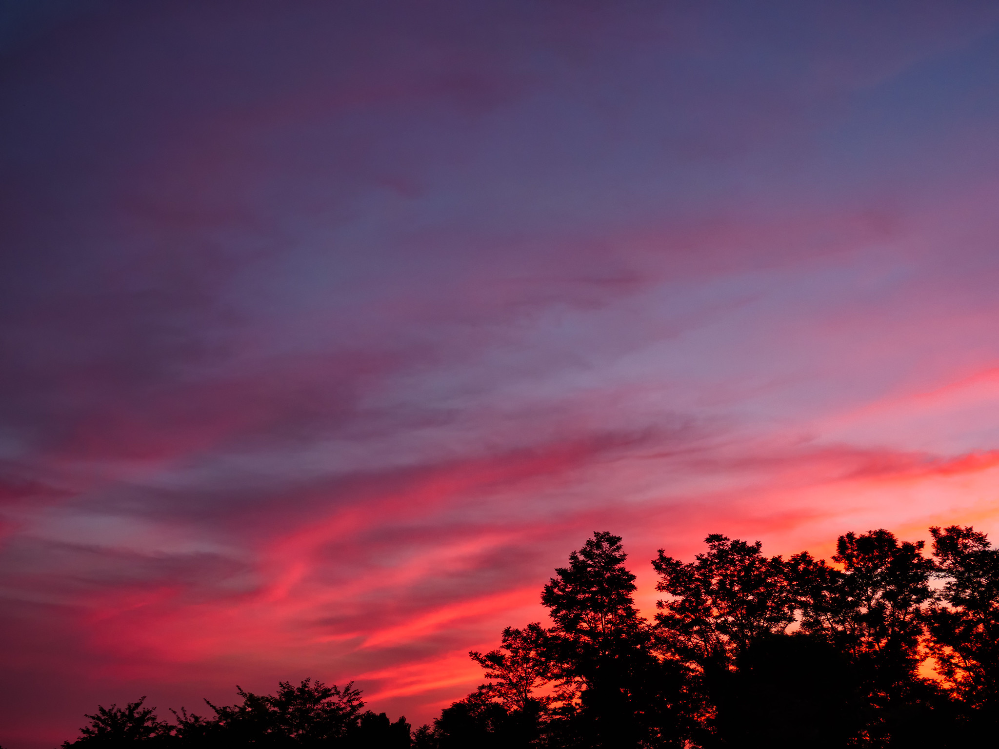 夕景