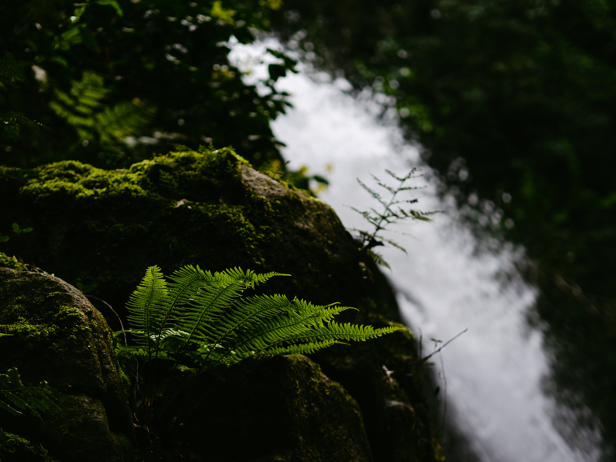 雄滝