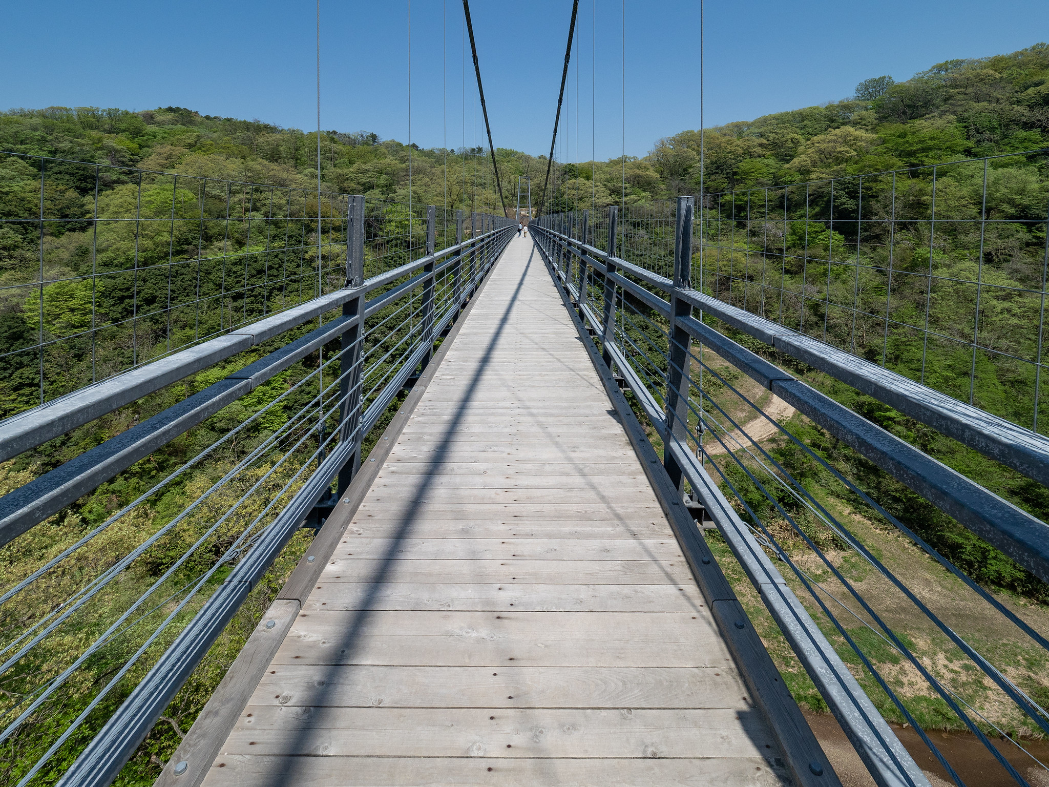 恋の吊り橋