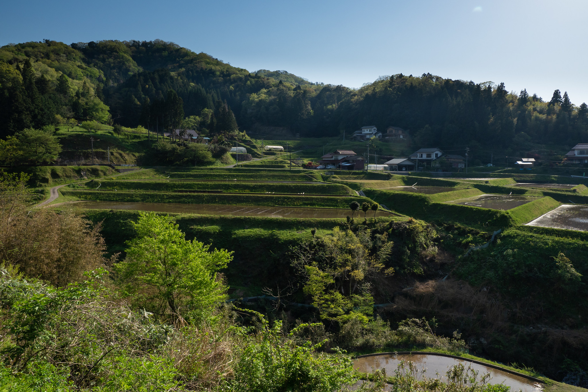風景
