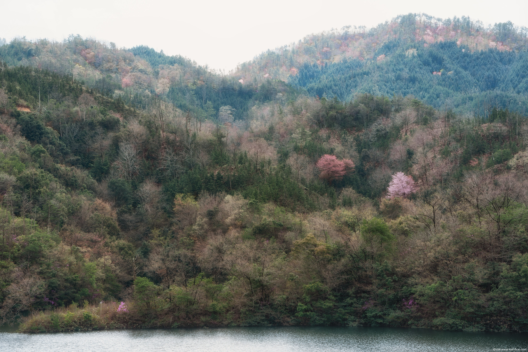山