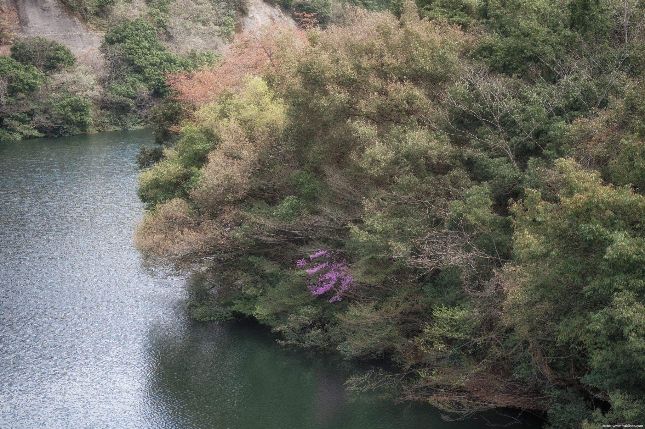 E-M1 markII
