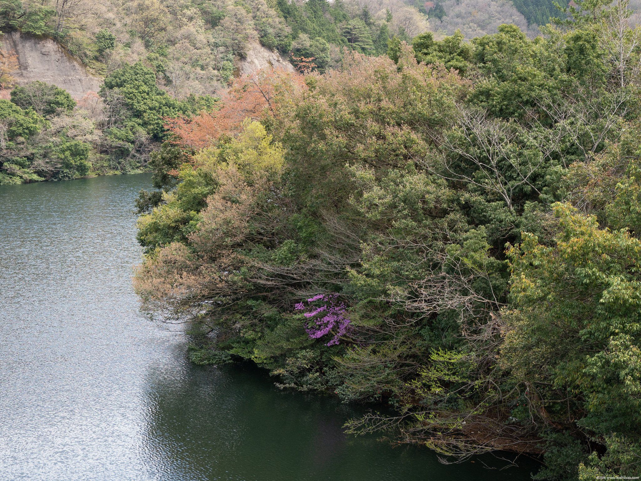 E-M1MarkII