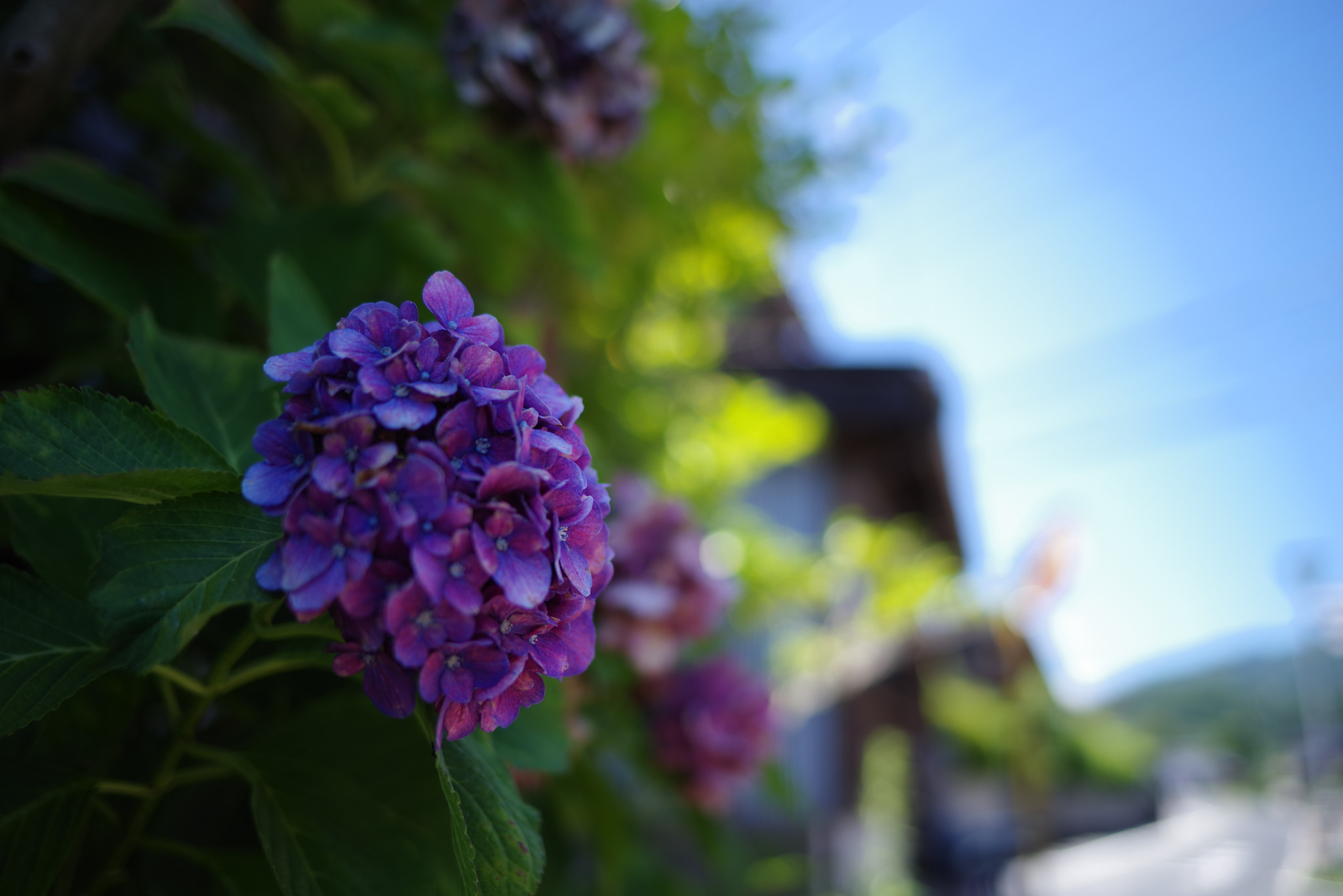 トーンジャンプ