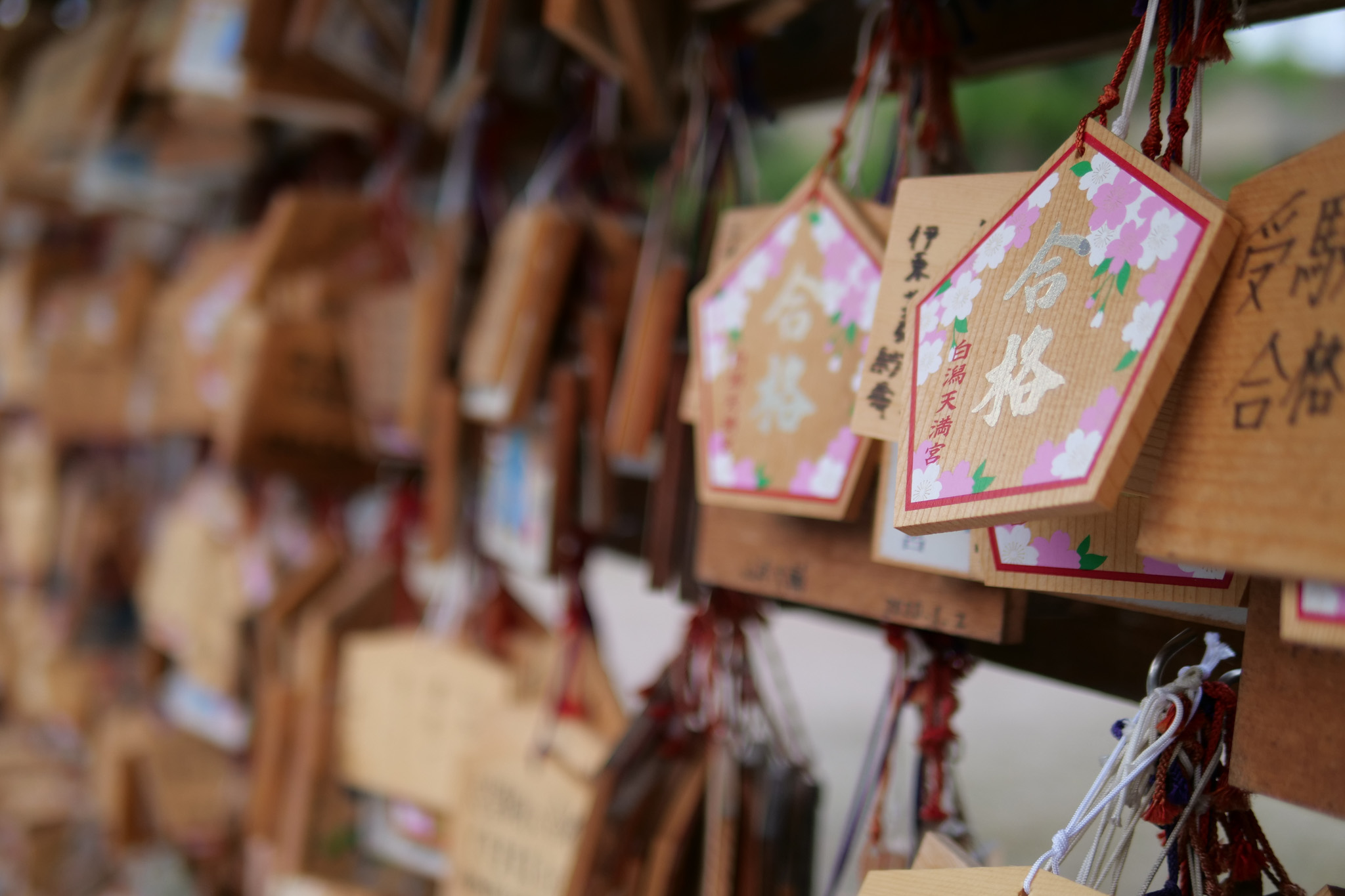 DC-G9_1-500 秒 (f - 1.4)ISO 200