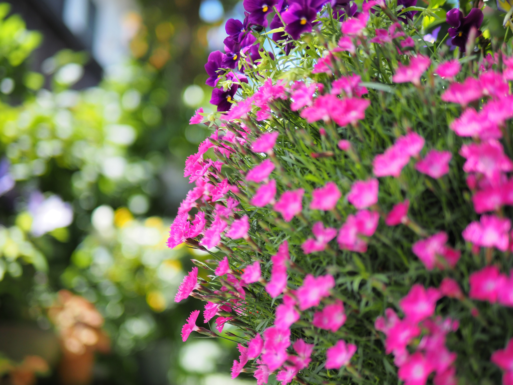 E-M5MarkIII_1-1600 秒 (f - 1.4)ISO 200