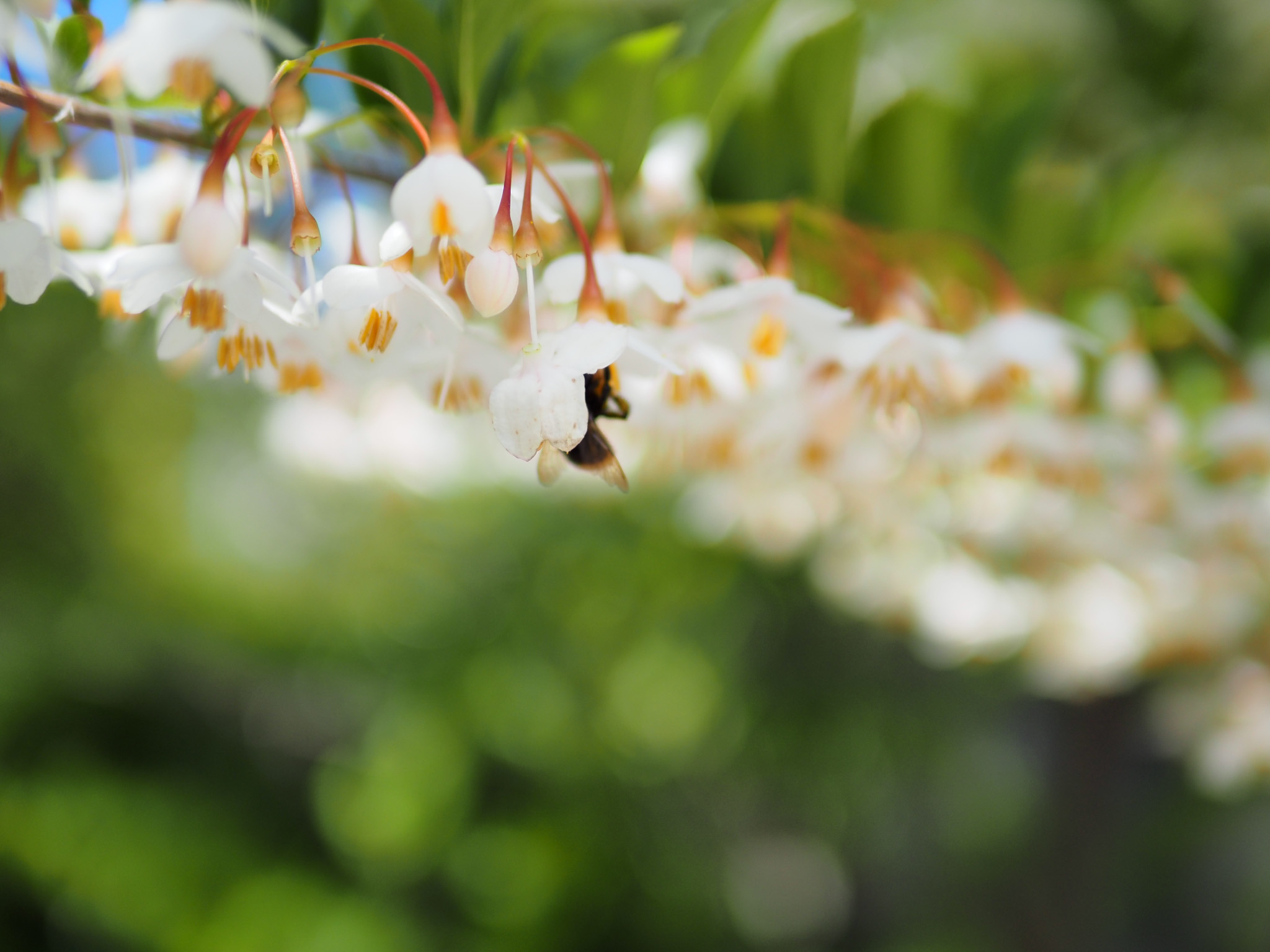 E-M5MarkIII_1-8000 秒 (f - 1.4)ISO 200